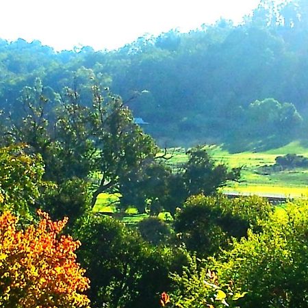 Brookvale House Balingup Guest House Bagian luar foto