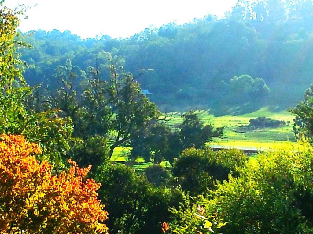 Brookvale House Balingup Guest House Bagian luar foto